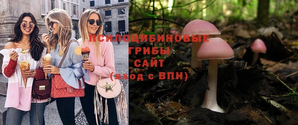spice Алексеевка