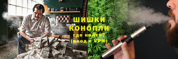 сатива Алексин