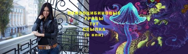 spice Алексеевка