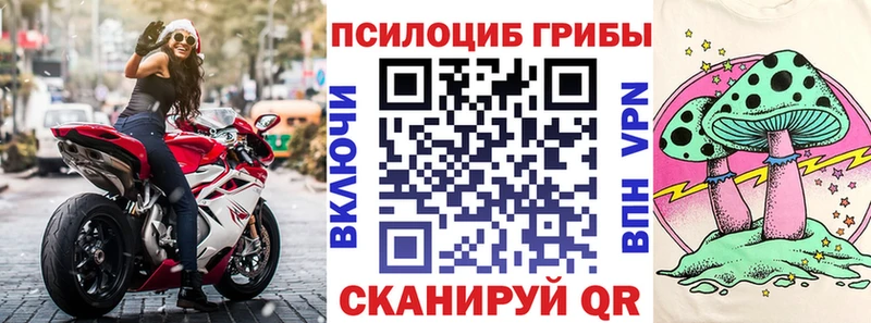 Псилоцибиновые грибы мухоморы закладка Амурск